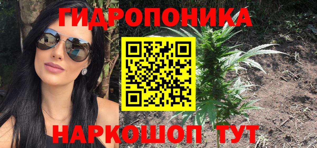Бошки марихуана OG Kush Коломна